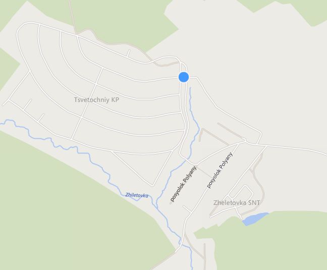 bing-tsvetochniy.JPG