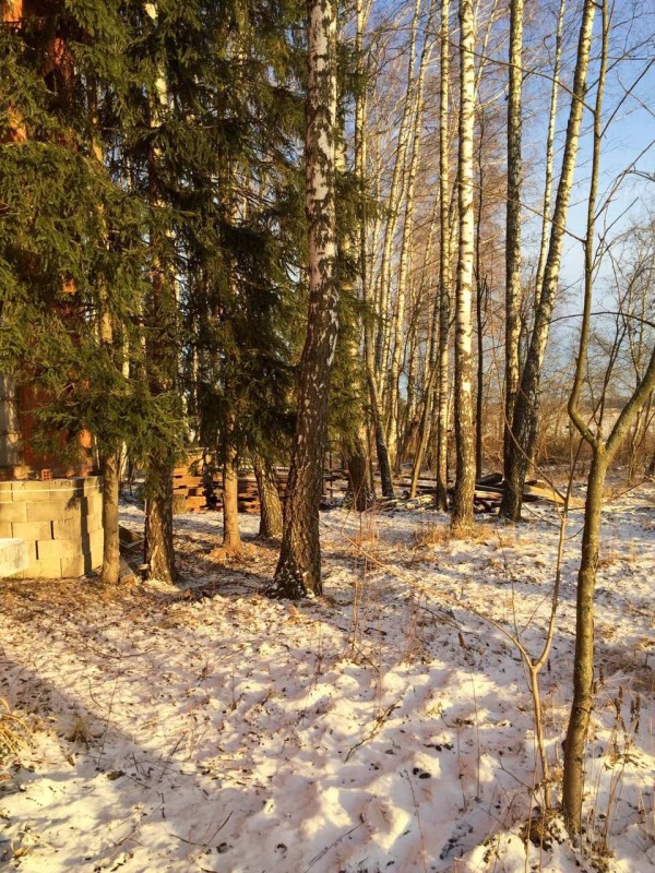 IMG_3484 — копия.JPG (472.05 КБ) Просмотров: 35054 IMG_3484 — копия.JPG