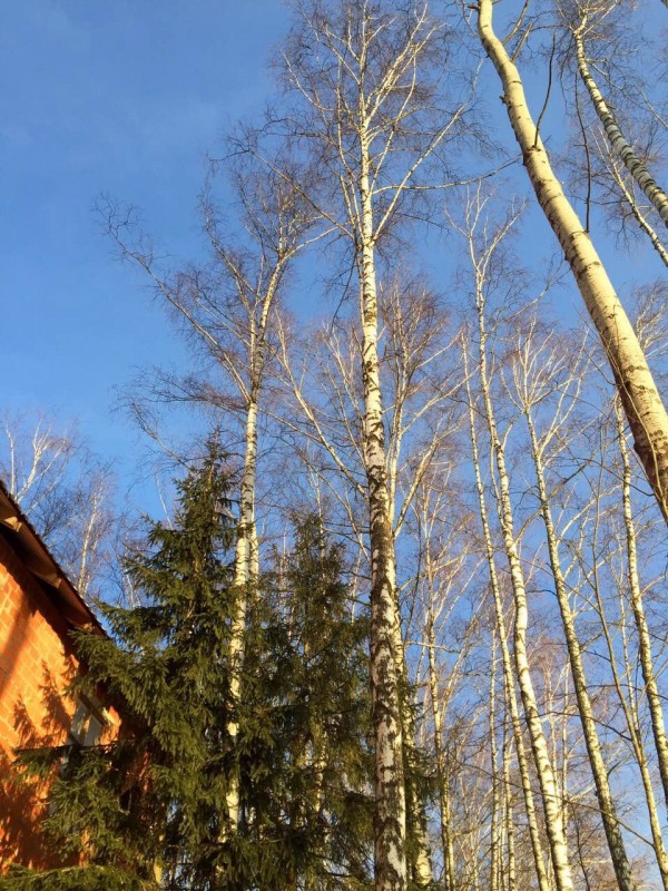 IMG_3486 — копия.JPG (468.63 КБ) Просмотров: 35358 IMG_3486 — копия.JPG